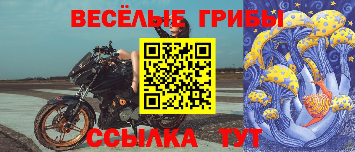 Гай  магазин продажи наркотиков  Вход с VPN  Псилоцибиновые грибы Psilocybe 